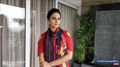 Rakul Preet Singh hot saree stills from Theeran Adhigaram Ondru - World Cinema Gallery