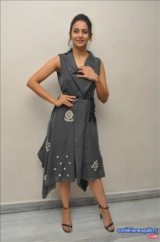 Rakul Preet Singh hot saree stills from Theeran Adhigaram Ondru - World Cinema Gallery