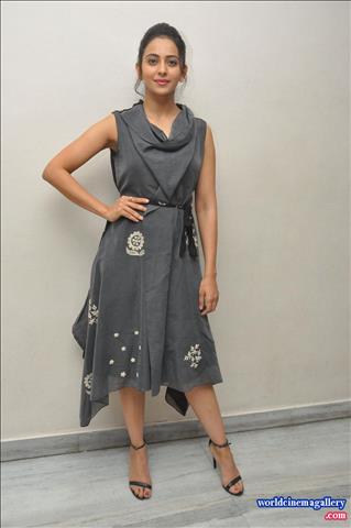 Rakul Preet Singh hot saree stills from Theeran Adhigaram Ondru - World Cinema Gallery