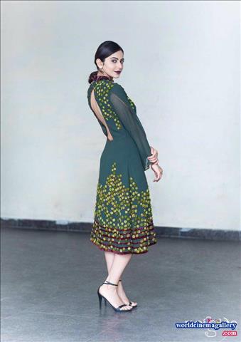 Rakul Preet Singh hot saree stills from Theeran Adhigaram Ondru - World Cinema Gallery