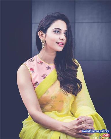 Rakul Preet Singh hot saree stills from Theeran Adhigaram Ondru - World Cinema Gallery