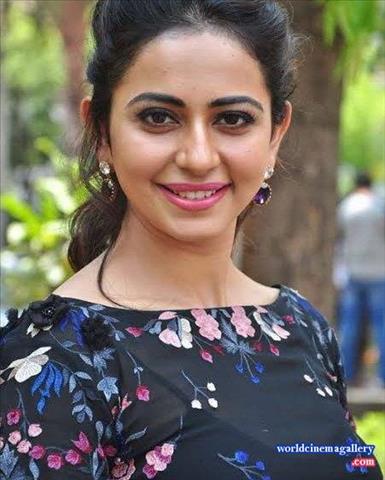 Rakul Preet Singh hot saree stills from Theeran Adhigaram Ondru - World Cinema Gallery