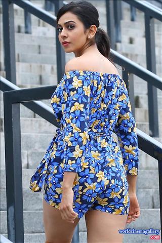 Rakul Preet Singh Hot Stills - World Cinema Gallery