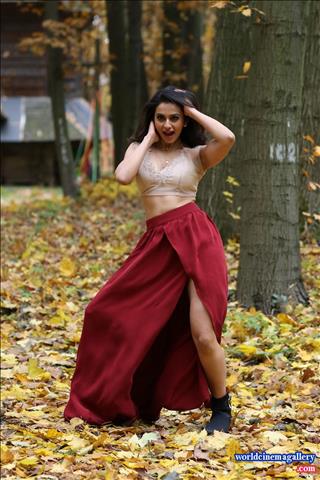 Rakul Preet Singh Hot Stills - World Cinema Gallery