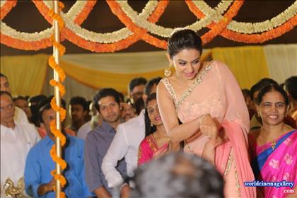 Rakul Preet Singh Hot Stills - World Cinema Gallery