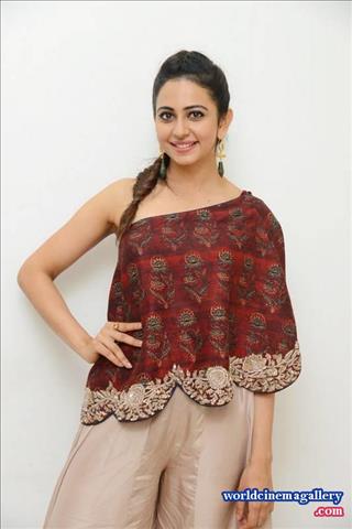 Rakul Preet Singh Hot Stills - World Cinema Gallery