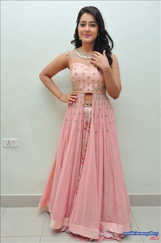 Rashi Khanna stills at Bengal Tiger