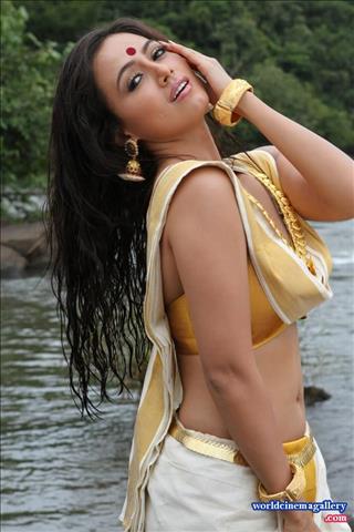 Sana Khan Hot stills in Nadigayin Diary Movie