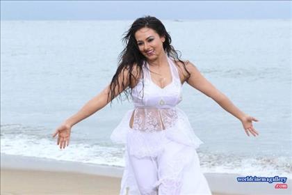 Sana Khan Hot stills in Nadigayin Diary Movie