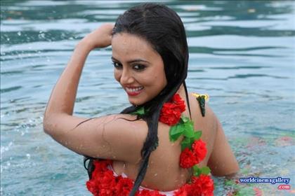 Sana Khan Hot stills in Nadigayin Diary Movie