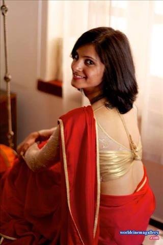 Saree Design Stills