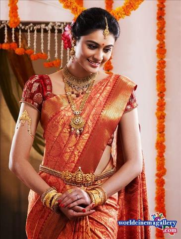 Saree Design Stills