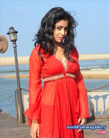 Shirya Saran Hot Stills at Pavitra Movie