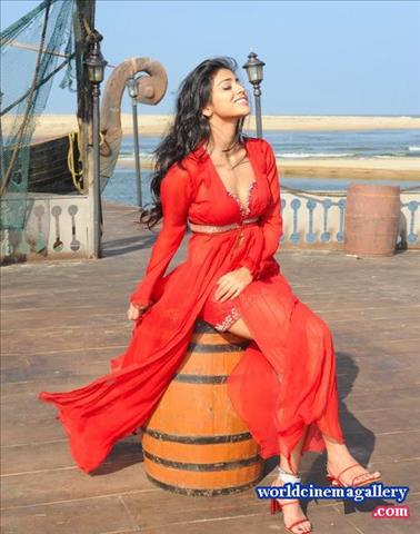Shirya Saran Hot Stills at Pavitra Movie