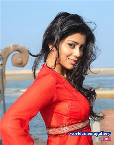 Shirya Saran Hot Stills at Pavitra Movie