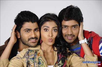 Shriya Saran Hot Saree Stills in Nuvva Nena movie