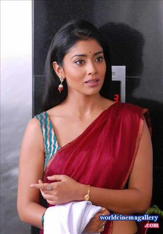 Shriya Saran Hot Saree Stills in Nuvva Nena movie