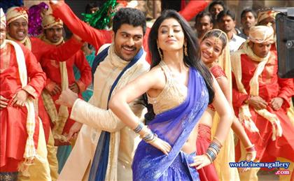 Shriya Saran Hot Saree Stills in Nuvva Nena movie