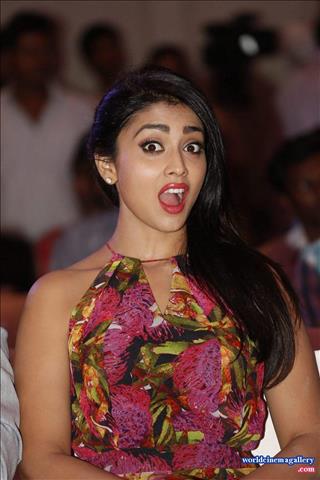 Shriya Saran Hot Stills in SIIMA Award