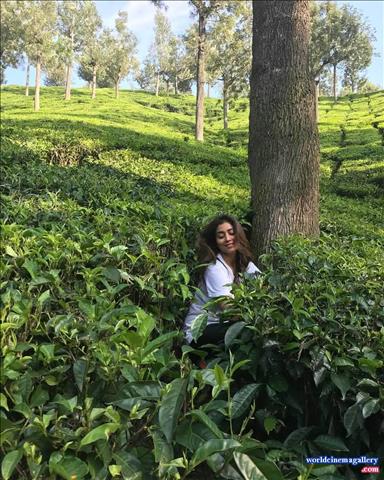 Shriya Saran in Naragasooran movie stills