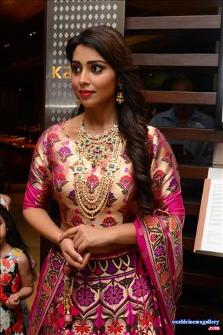 Shriya Saran Jewellery ads Photoshoot