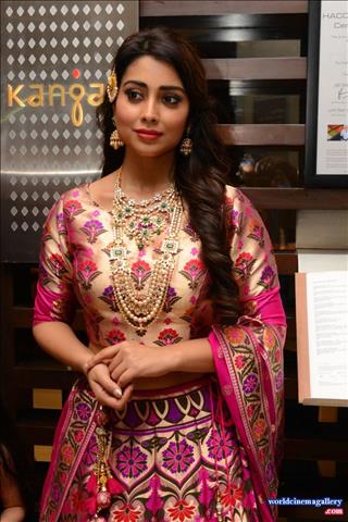 Shriya Saran Jewellery ads Photoshoot