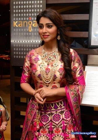Shriya Saran Jewellery ads Photoshoot