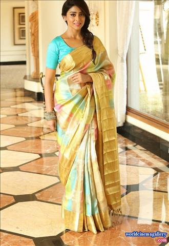Shriya Saran Latest Hot Stills in Kancheepuram Yellow Saree