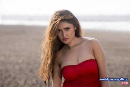 Sony Charishta Hot Sexy Stills