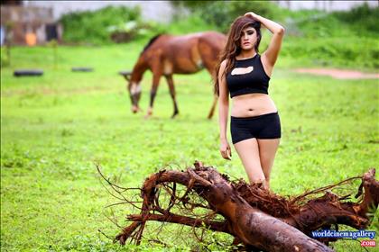 Sony Charishta Hot Sexy Stills
