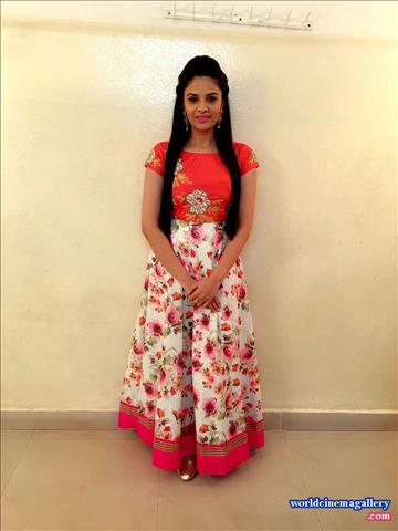Sreemukhi Hot Saree Stills