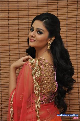 Sreemukhi Hot Saree Stills