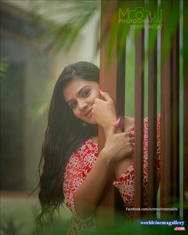 Sreemukhi latest collection