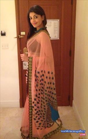 Kajal Aggarwal Traditional Saree Stills