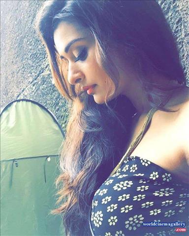 Payal Rajput Latest Stills