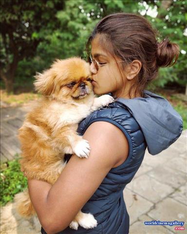 Pooja Devariya Hot Stills