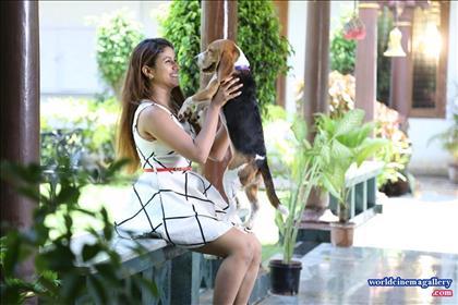 Raja Rani serial actress semba Alya Manasa Stills