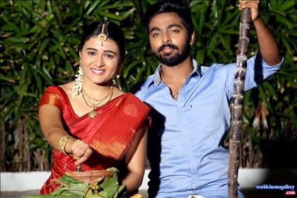 Shalini Pandey Pongal celebration in Red Saree