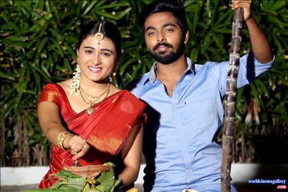 Shalini Pandey Pongal celebration in Red Saree