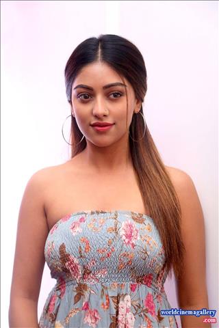 Anu Emmanuel Stills at Fitness gym launch