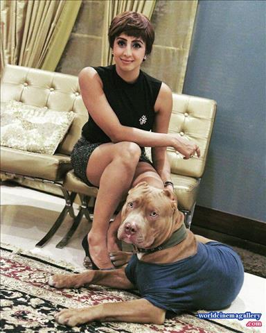 Sanjjana Galrani Hot Stills