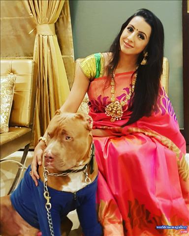 Sanjjana Galrani Hot Stills