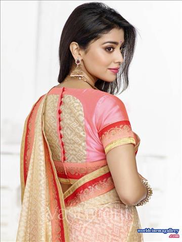Shriya Hot Cleavage Stills