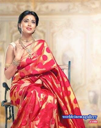Shriya Latest Stills in VRK Silks Saree