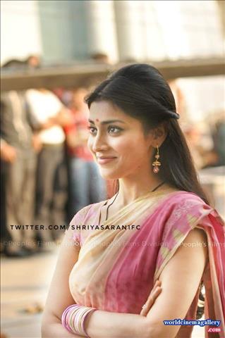 Shriya Latest Stills in VRK Silks Saree