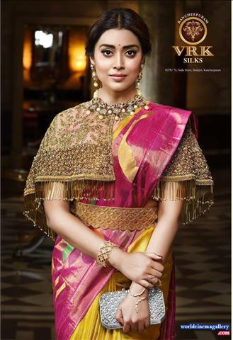 Shriya Latest Stills in VRK Silks Saree