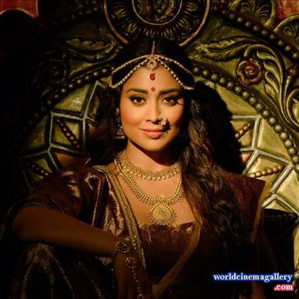 Shriya Latest Stills in VRK Silks Saree