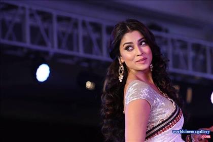 Shriya Latest Stills in VRK Silks Saree