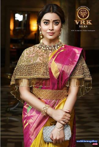 Shriya Latest Stills in VRK Silks Saree