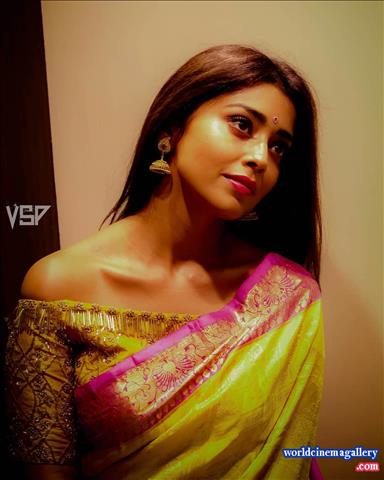 Shriya Latest Stills in VRK Silks Saree